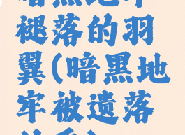 暗黑地牢褪落的羽翼(暗黑地牢被遗落的香)