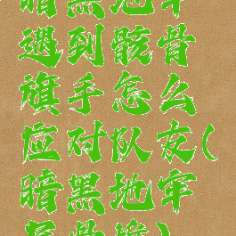 暗黑地牢遇到骸骨旗手怎么应对队友(暗黑地牢尸骨堆)