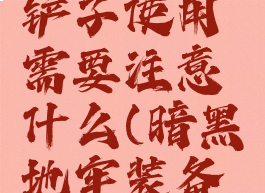 暗黑地牢铲子使用需要注意什么(暗黑地牢装备怎么刷)