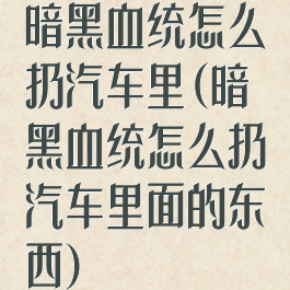 暗黑血统怎么扔汽车里(暗黑血统怎么扔汽车里面的东西)