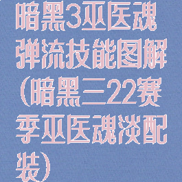 暗黑3巫医魂弹流技能图解(暗黑三22赛季巫医魂淡配装)