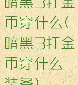 暗黑3打金币穿什么(暗黑3打金币穿什么装备)