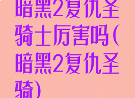 暗黑2复仇圣骑士厉害吗(暗黑2复仇圣骑)