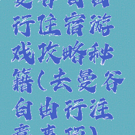 曼谷自由行住宿游戏攻略秘籍(去曼谷自由行注意事项)