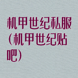 机甲世纪私服(机甲世纪贴吧)