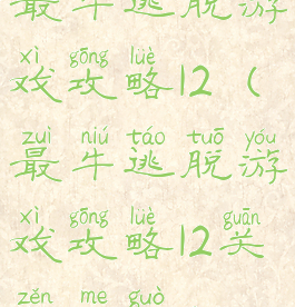 最牛逃脱游戏攻略12(最牛逃脱游戏攻略12关怎么过)