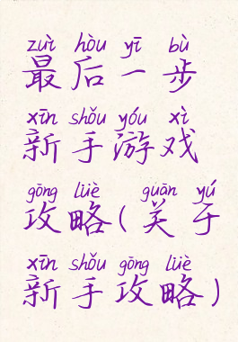 最后一步新手游戏攻略(关于新手攻略)