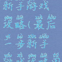 最后一步新手游戏攻略(最后一步新手游戏攻略图文)