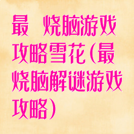 最囧烧脑游戏攻略雪花(最囧烧脑解谜游戏攻略)