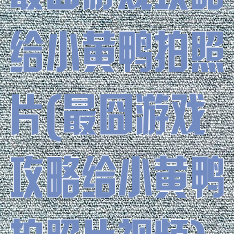 最囧游戏攻略给小黄鸭拍照片(最囧游戏攻略给小黄鸭拍照片视频)