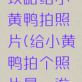 最囧游戏攻略给小黄鸭拍照片(给小黄鸭拍个照片最囧游戏)