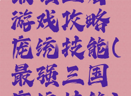 最强王者游戏攻略庞统技能(最强三国庞统技能)