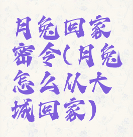 月兔回家密令(月兔怎么从大城回家)