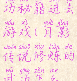 月影传说武功秘籍进去游戏(月影传说修炼的武功怎么使用)