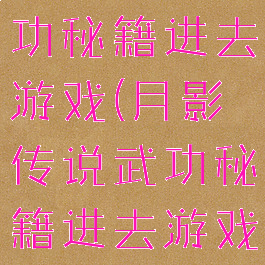 月影传说武功秘籍进去游戏(月影传说武功秘籍进去游戏就没了)