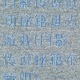 月影传说武功秘籍进去游戏(月影传说秘籍不管用)