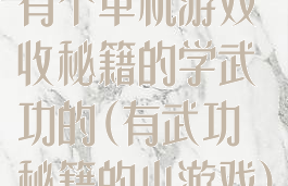 有个单机游戏收秘籍的学武功的(有武功秘籍的小游戏)