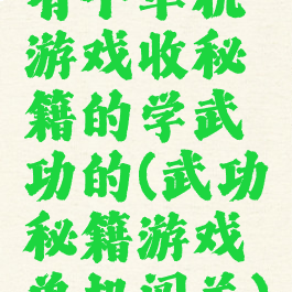 有个单机游戏收秘籍的学武功的(武功秘籍游戏单机闯关)