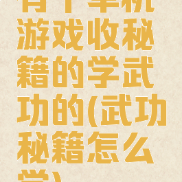 有个单机游戏收秘籍的学武功的(武功秘籍怎么学)