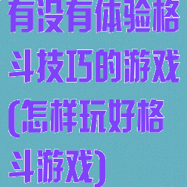 有没有体验格斗技巧的游戏(怎样玩好格斗游戏)
