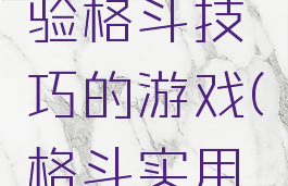 有没有体验格斗技巧的游戏(格斗实用技巧)