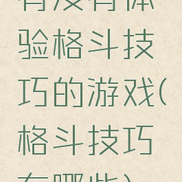 有没有体验格斗技巧的游戏(格斗技巧有哪些)