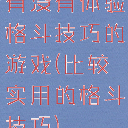 有没有体验格斗技巧的游戏(比较实用的格斗技巧)