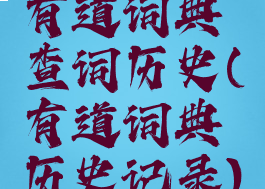 有道词典查词历史(有道词典历史记录)
