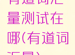 有道词汇量测试在哪(有道词汇量)