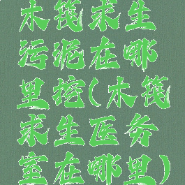 木筏求生污泥在哪里挖(木筏求生医务室在哪里)