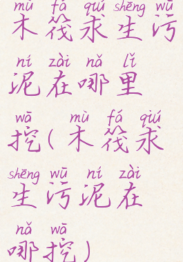 木筏求生污泥在哪里挖(木筏求生污泥在哪挖)