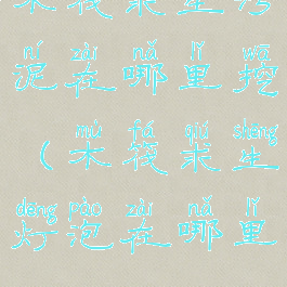 木筏求生污泥在哪里挖(木筏求生灯泡在哪里)