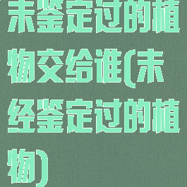 未鉴定过的植物交给谁(未经鉴定过的植物)