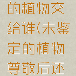 未鉴定过的植物交给谁(未鉴定的植物尊敬后还可以交吗)