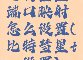 比特彗星端口映射怎么设置(比特彗星tcp设置)