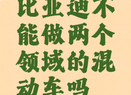 比亚迪不能做两个领域的混动车吗