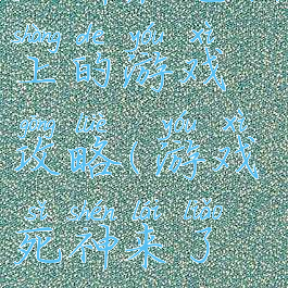 死神在电脑上的游戏攻略(游戏死神来了攻略)