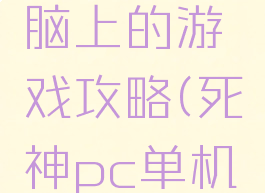 死神在电脑上的游戏攻略(死神pc单机游戏)