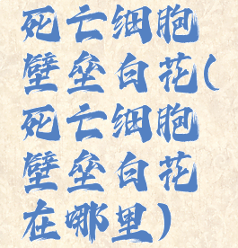 死亡细胞壁垒白花(死亡细胞壁垒白花在哪里)