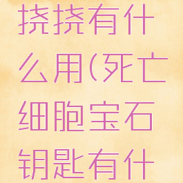 死亡细胞挠挠有什么用(死亡细胞宝石钥匙有什么用)