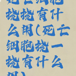 死亡细胞挠挠有什么用(死亡细胞挠一挠有什么用)