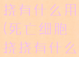 死亡细胞挠挠有什么用(死亡细胞挠挠有什么用?)