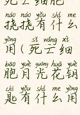 死亡细胞挠挠有什么用(死亡细胞月光花钥匙有什么用)