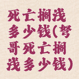 死亡搁浅多少钱(弩哥死亡搁浅多少钱)