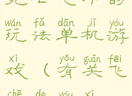 死亡飞车的玩法单机游戏(有关飞车的游戏)