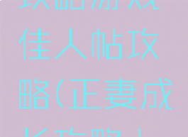 正妻成长攻略游戏佳人帖攻略(正妻成长攻略七度网)