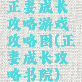 正妻成长攻略游戏攻略图(正妻成长攻略书院)