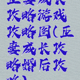 正妻成长攻略游戏攻略图(正妻成长攻略婚后攻略)