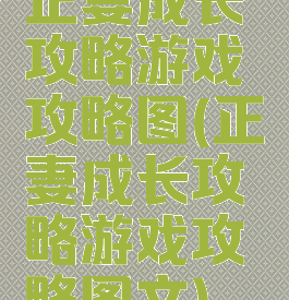 正妻成长攻略游戏攻略图(正妻成长攻略游戏攻略图文)