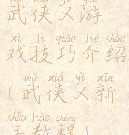 武侠乂游戏技巧介绍(武侠乂新手教程)